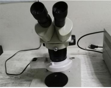 microscope